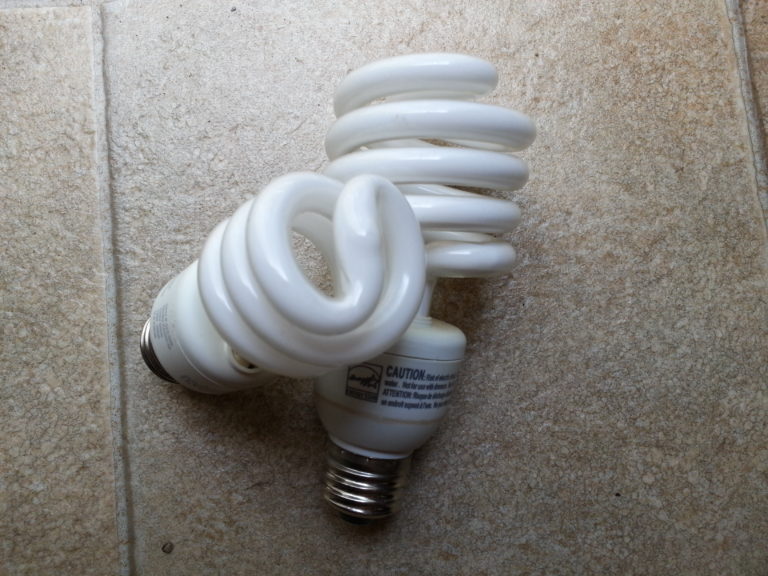 CFL light bulbs. Photo by Luke Otterstad