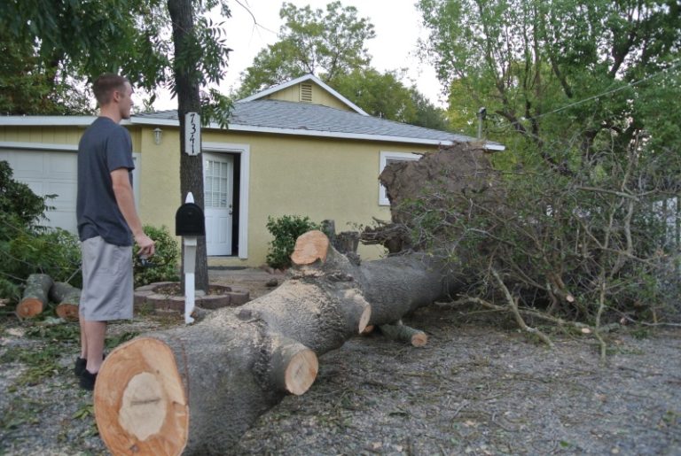 Large oak tree falls in front of home in Citrus Heights