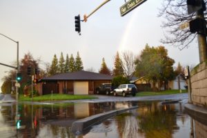 rain_flooding_puddle_DSC_0720