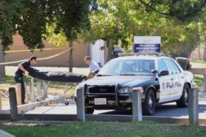 Citrus Heights park, body bag. Photo by Citrus Heights Sentinel