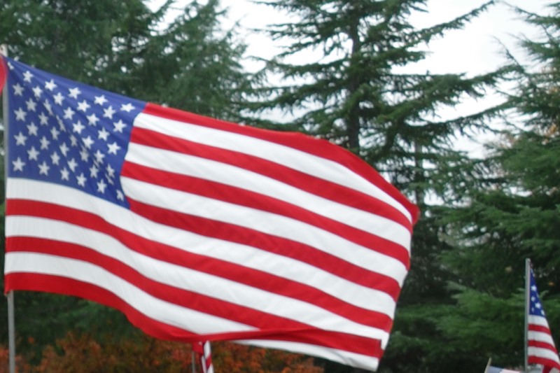 American flag, united states flag