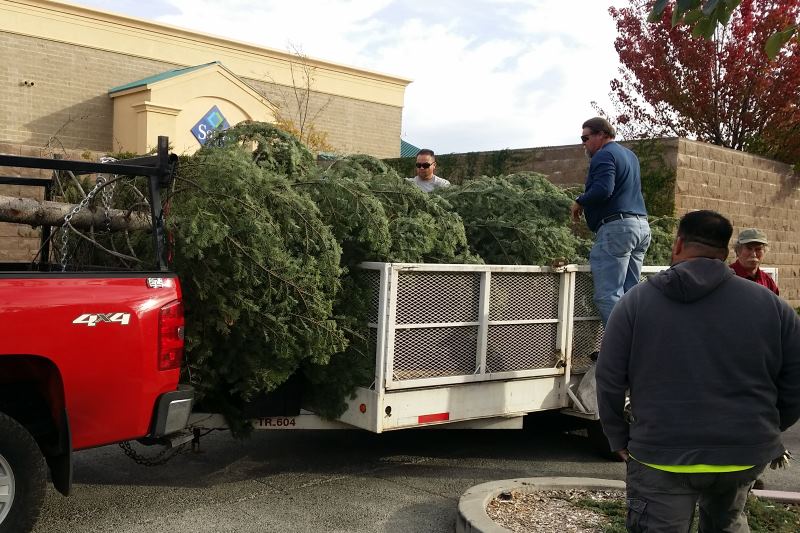 Citrus Heights Christmas tree, lighting ceremony