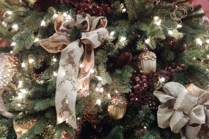 ChristmasLights_tree_20151130_122302