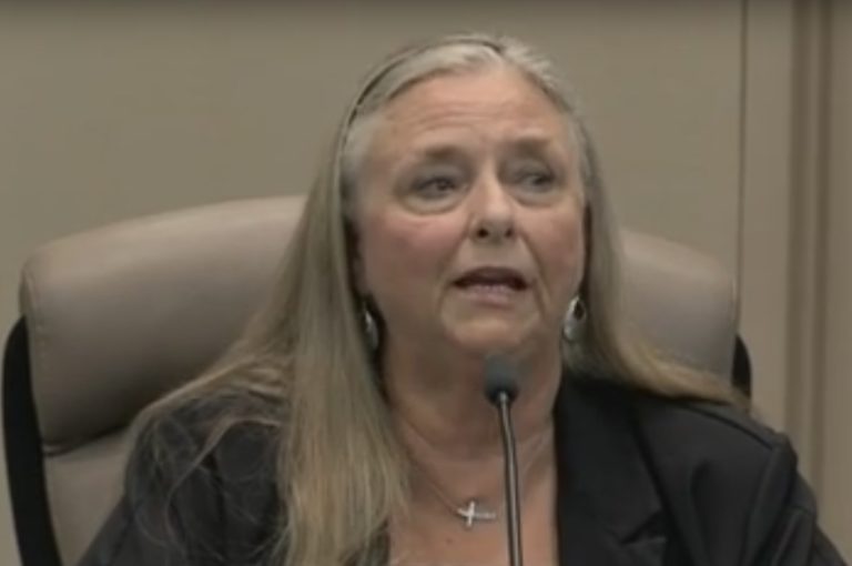 Jeannie Bruins, Citrus Heights city council