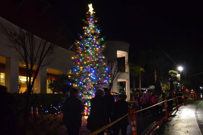 Citrus Heights Christmas Tree Lighting