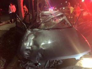 Car vs horse collision in Citrus Heights
