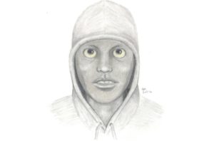 Sexual assault suspect