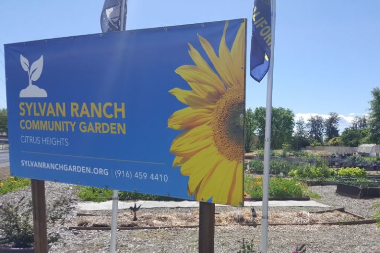 Sylvan Ranch Community Garden