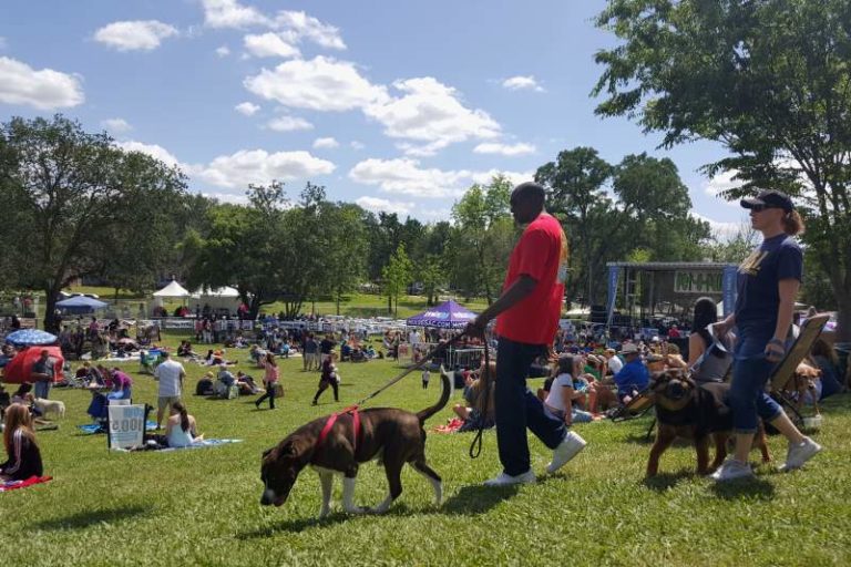 Pet-a-Palooza 2016, Citrus Heights