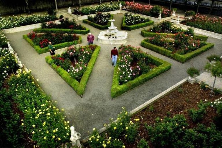 Rose garden, Citrus Heights