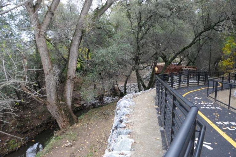 Arcade Creek Park Preserve