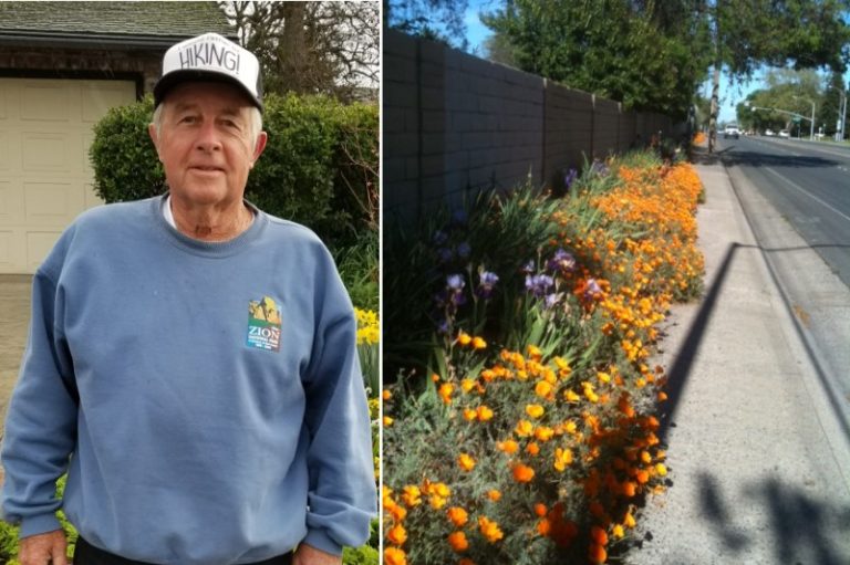 Ron Fern, flowers, Citrus Heights