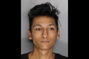 Vinnie Sterio, Citrus Heights