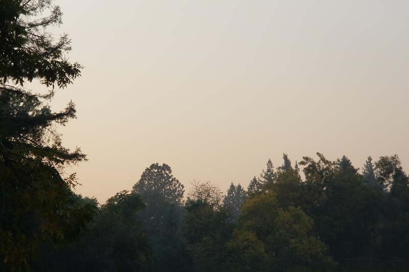 Camp Fire, Smoke, sky