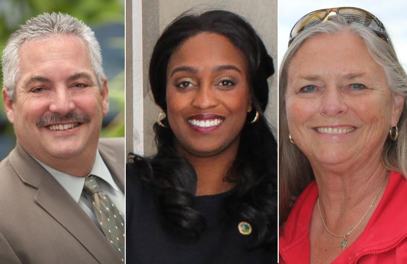 2018 city council, Citrus Heights election