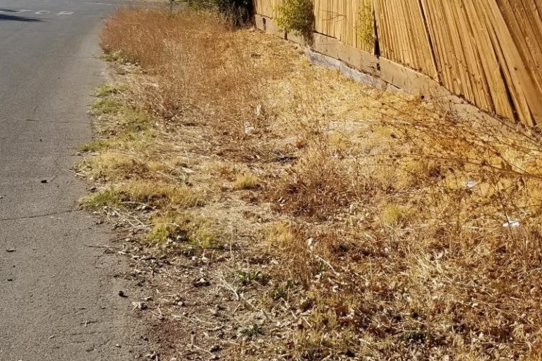 Roadside, Citrus Heights