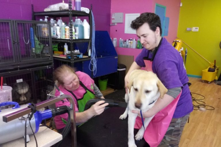 Fuzz Monsters Pet Grooming, Citrus Heights
