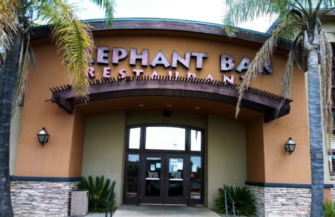 Elephant Bar, closed