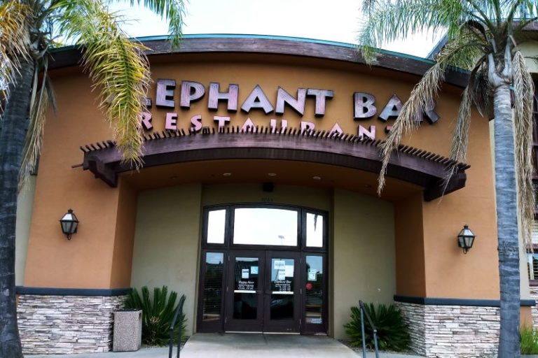 Elephant Bar, closed