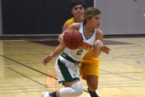Julia Gotishan, Mesa Verde Girls Basketball, February, 2020