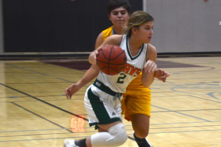Julia Gotishan, Mesa Verde Girls Basketball, February, 2020
