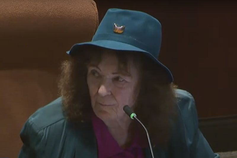 Vice Mayor Jayna Karpinski-Costa