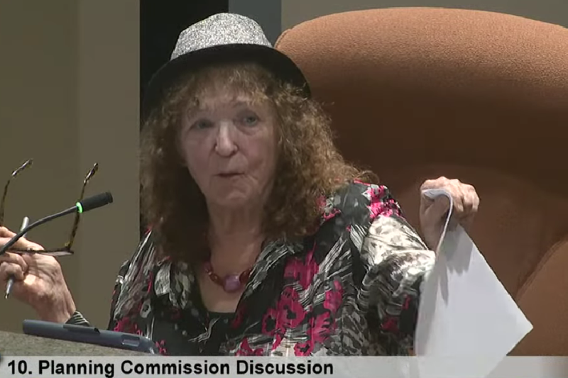 Vice Mayor Jayna Karpinski-Costa