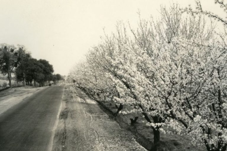 Auburn blvd 1928