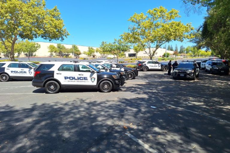 Police cruisers