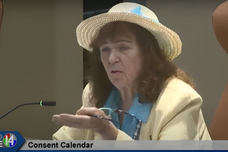 Vice Mayor Jayna Karpinski-Costa