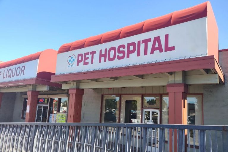 Akaal pet hospital