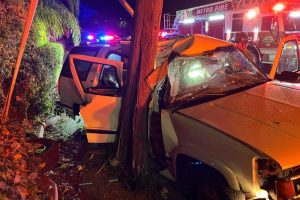 A driver crashed into a utility pole on Greenback Lane early Monday morning. // Sacramento Metro Fire District