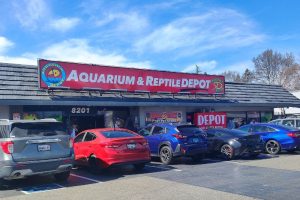 Aquarium Depot is celebrating 12 years