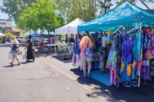 Vendors at a vendor fair at the Birdcage Shopping center in Citrus Heights. // SB Williams