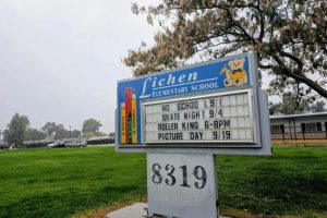 Lichen TK-8 // SB Williams