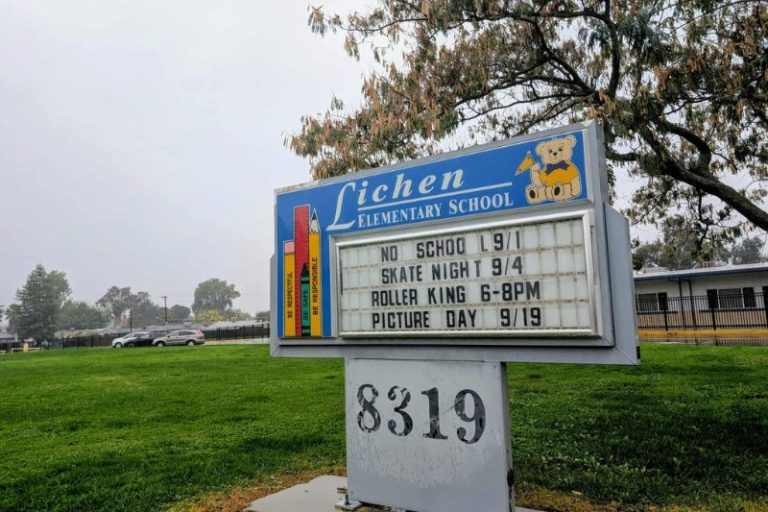 Lichen TK-8 // SB Williams