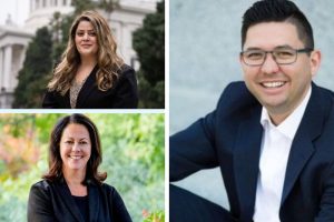 The Sacramento County office of the Secretary of State lists three confirmed candidates who have filed to run for Assembly i, representing District 7, including Amy L Slavensky, (bottom left) Sanaz Motamedi (top left) and Josh Hoover. (right)