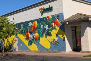 A mural painted on the back wall of Jamba Juice at the Marketplace at Birdcage. // SB Williams