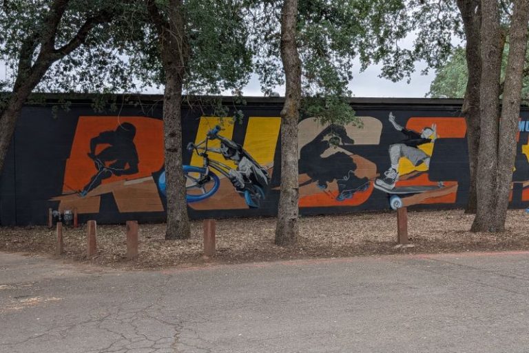 A mural painted by artist MAMMXTH on a wall adjacent to the skate park at Rusch Park. // SB Williams