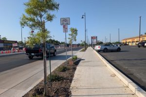 New trees and shrubs have been added along Auburn Blvd. as part of Phase 2 of the Auburn Blvd. Complete Streets Project. May 30, 2026. // SB Williams