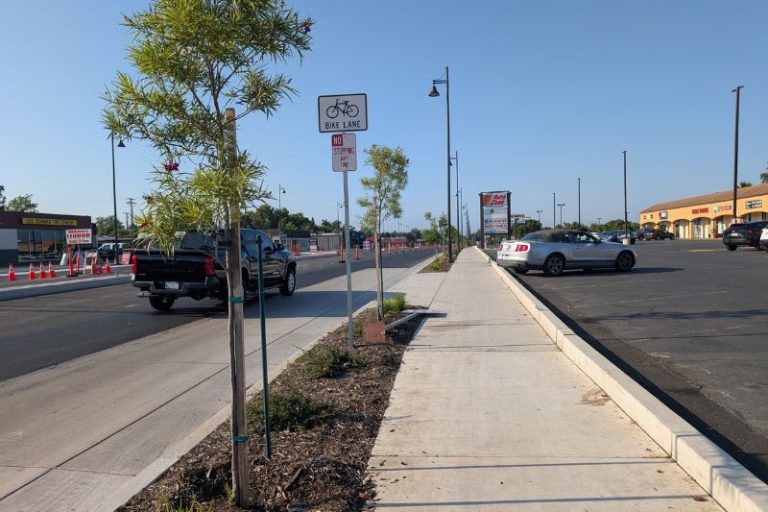 New trees and shrubs have been added along Auburn Blvd. as part of Phase 2 of the Auburn Blvd. Complete Streets Project. May 30, 2026. // SB Williams