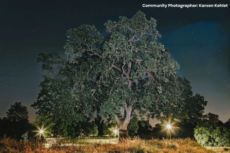 Karsen Kehlet is one of the Citrus Heights Postcards from Citrus Heights community photo contest winner in the community member/hobby photographer category. // City of Citrus Heights