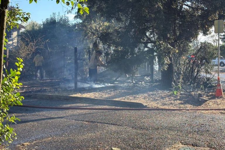 A vegetation fire spread to a tree and fence on a property on Old Auburn Road in Citrus Heights, July 4, 2026.