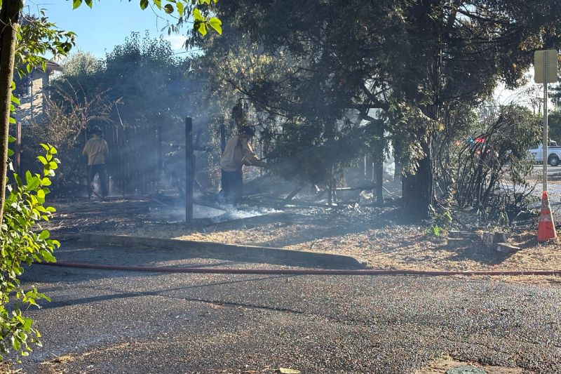 A vegetation fire spread to a tree and fence on a property on Old Auburn Road in Citrus Heights, July 4, 2026. 