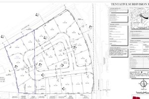 A submitted tentative subdivision map of a proposed 19-home subdivision for the corner of Wintergreen Drive and Old Auburn Road, which is currently under review by the City of Citrus Heights. // City of Citrus Heights