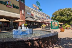 The Citrus Town Center is located on the corner of Sunrise Blvd. and Greenback Ln. // SB Williams