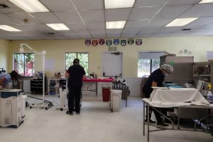 The operating room inside FieldHaven Feline Center, 7569 Old Auburn Rd., Citrus Heights // FieldHaven Feline Center