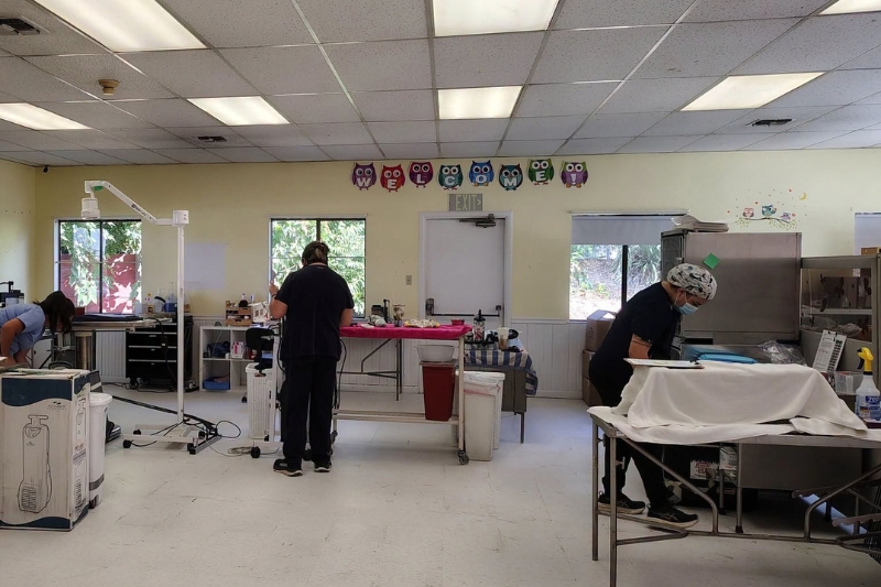 The operating room inside FieldHaven Feline Center, 7569 Old Auburn Rd., Citrus Heights // FieldHaven Feline Center