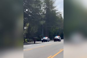 A still shot from video captured by Sentinel staff on Aug. 20 as Citrus Heights Police pursued the suspect of an assault who was walking in the middle of Auburn Blvd. // CH Sentinel